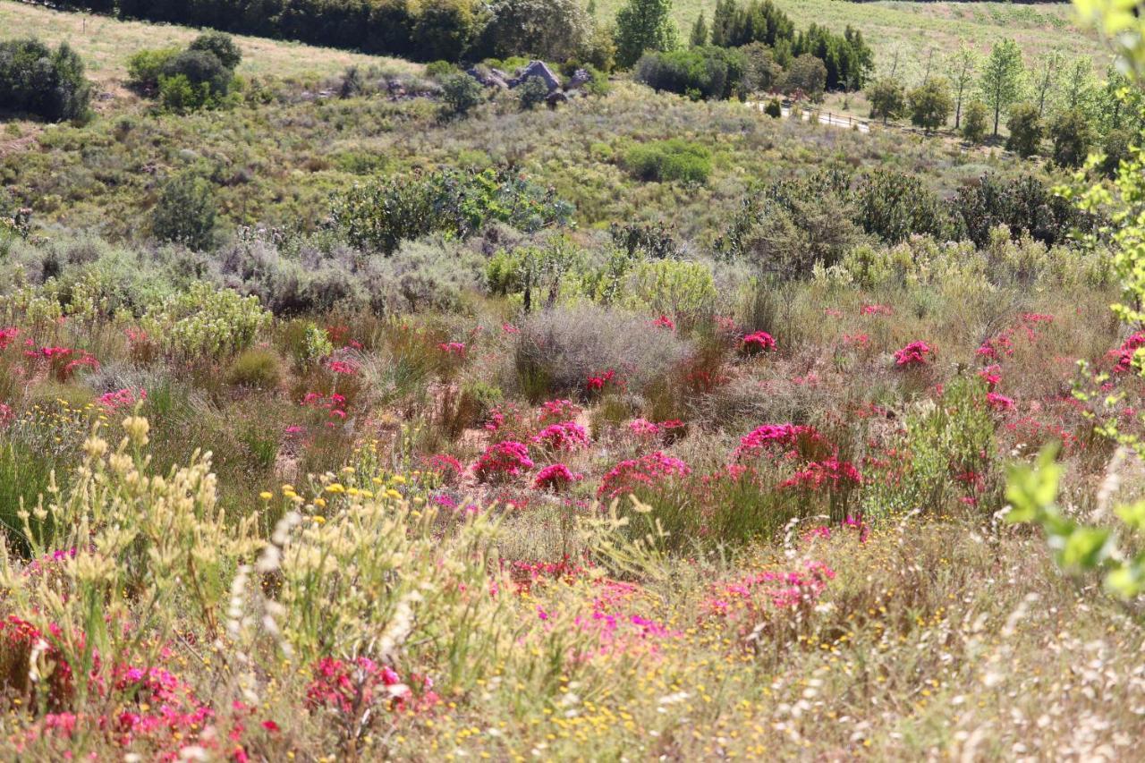 Highlands Eco Estate Hotel Piketberg Buitenkant foto