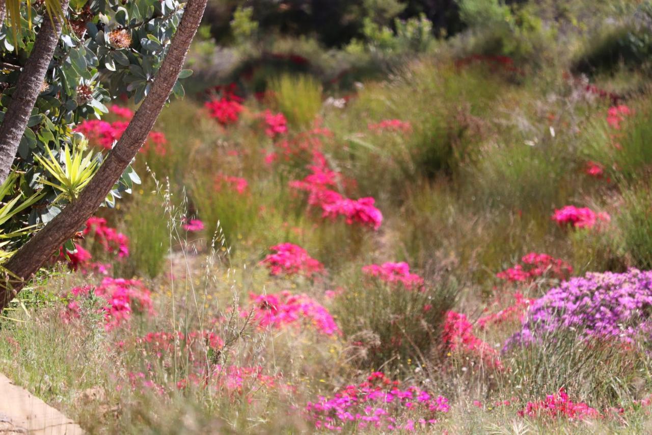 Highlands Eco Estate Hotel Piketberg Buitenkant foto
